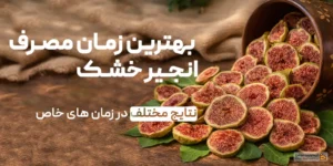 بهترین زمان مصرف انجیر خشک:چاقی| دیابت| یبوست